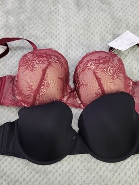 Nwt Dorina 2pk Lace Bra Set - Burgundy Lace Bra & Black Molded Cups 42B
